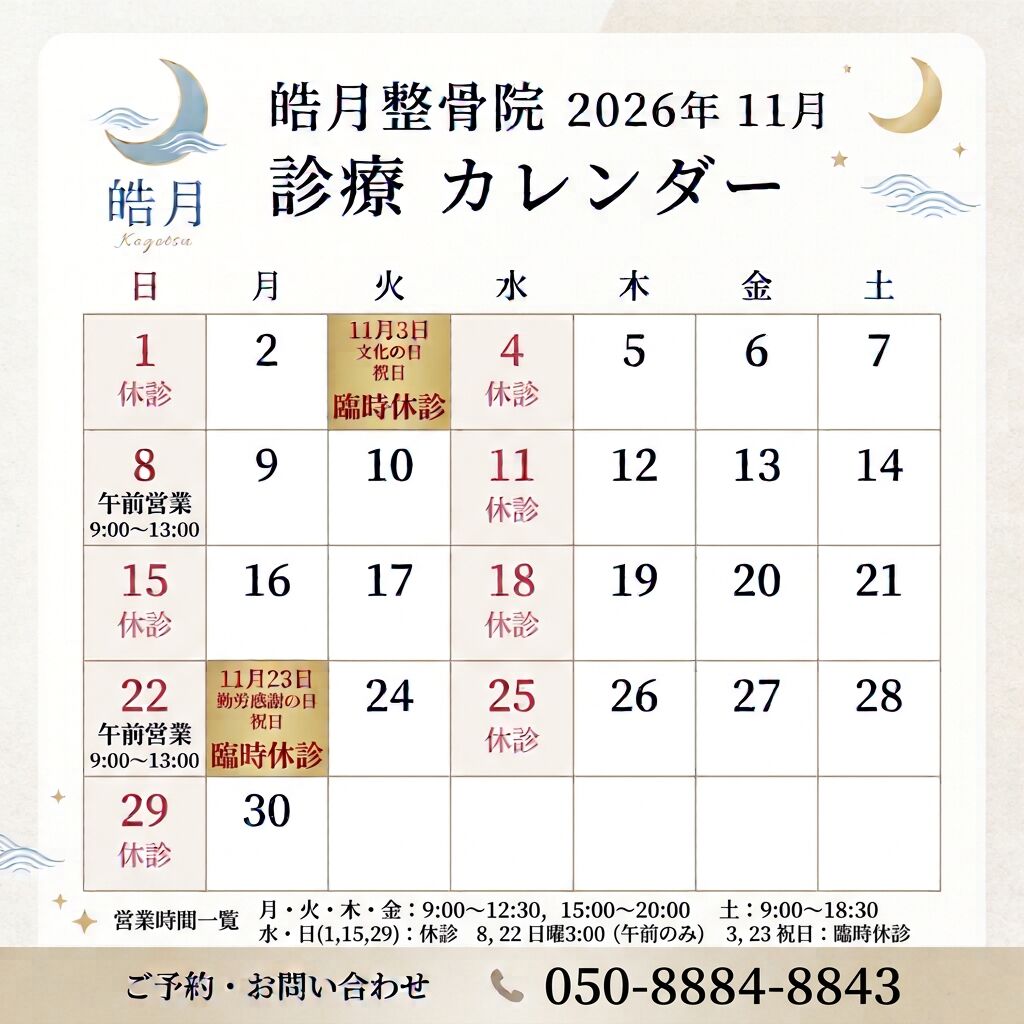 11月営業日のお知らせ✨